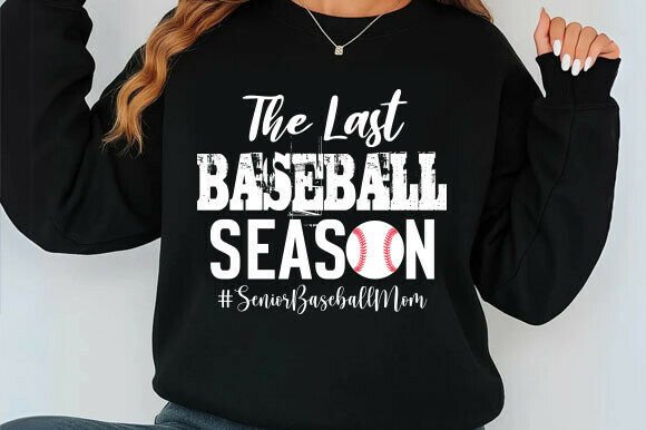 The Last Baseball Season Senior Baseball